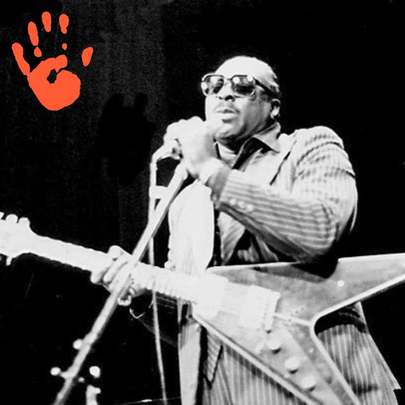 Die bekanntesten Linkshänder Gitarristen der Welt - Albert King